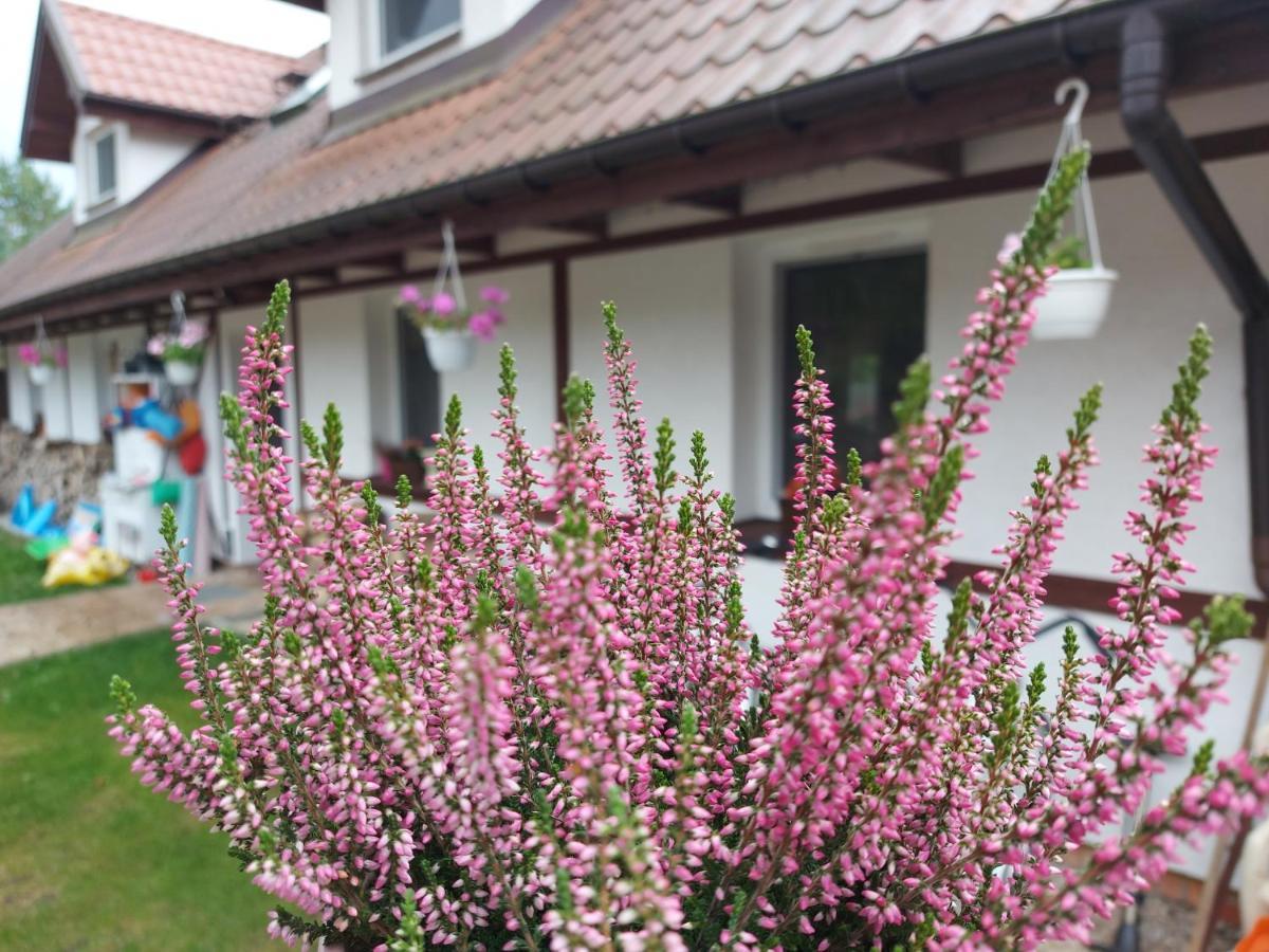 Cztery Pory Warmii Pluski Pokoje Do Wynajecia Apartment Exterior photo